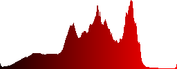 A pacific lake surrounded by trees that are reflected in the water. - Histogram - Red color channel