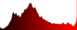 A cold, autumn lake in the mountains - Histogram - Red color channel