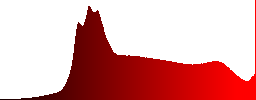 The limestone features of the Scarita Belioara nature reserve - Histogram - Red color channel