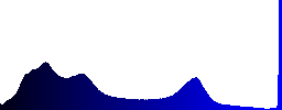 A flock of sheep in the shadow - Histogram - Blue color channel