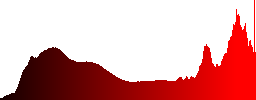 A flock of sheep in the shadow - Histogram - Red color channel