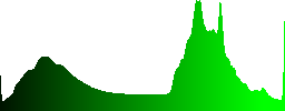 A bare tree among green, healthy ones - Histogram - Green color channel