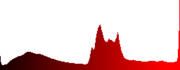 A bare tree among green, healthy ones - Histogram - Red color channel