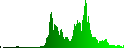 Fence, covered in rime and snow at the edge of the forest - Histogram - Green color channel