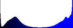 New groving plants in the black volcanic stone - Histogram - Blue color channel