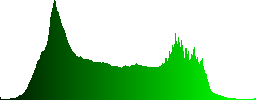 A tranquil river with trees on its banks - Histogram - Green color channel