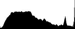 Aerial photo of a winding road along trees in the Carpathians  - Histogram - RGB color channel