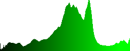 White waves at Comoros Island on a sunny day - Histogram - Green color channel