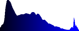 A charcoal pile during combustion - Histogram - Blue color channel