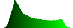 Summer cep or bolete (Boletus reticulatus) in the meadow - Histogram - Green color channel