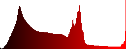 A creek rushing through a forest - Histogram - Red color channel