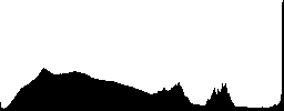 A creek rushing through a forest - Histogram - RGB color channel