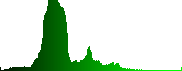 A common kingfisher (Alcedo atthis) sitting on a wire - Histogram - Green color channel