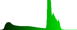 Lonely pine tree pointing to the sky - Histogram - Green color channel