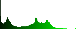 Beauty sunset in the lake - Histogram - Green color channel