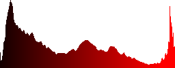 People walking on the promenade along the Danube River - Histogram - Red color channel
