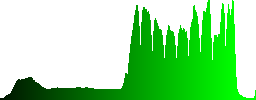Fisherman's bronze statue on the shore - Histogram - Green color channel