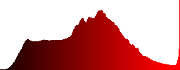 A field with lots of crocuses - Histogram - Red color channel