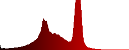 A road with morass and a great egret - Histogram - Red color channel