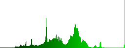 Set of carved wooden AVI file format buttons in 8 variations. - Histogram - Green color channel