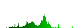 RAR file format icons in carved wooden button styles - Histogram - Green color channel