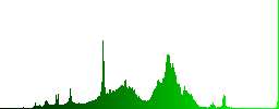 PSD file format icons in carved wooden button styles - Histogram - Green color channel