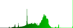 Two headed battle axe on rounded square carved wooden button styles - Histogram - Green color channel