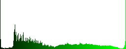 Flask with liquid white icons on round color glass buttons - Histogram - Green color channel