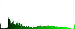 find previous search result white icons on round color glass buttons - Histogram - Green color channel