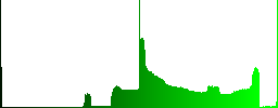 Resize full engraved icons on rounded square glossy steel buttons - Histogram - Green color channel