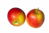 Two apples in red and greenish color - A pair of red apples