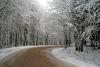 Highway in the winter forest - Road among snow-bound trees