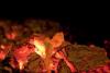 Glowing logs of firewood before falling into smithereens. - Smoldering pieces of wood