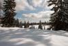 The shadow of the pine trees on the snow - In the shadow of pine trees