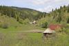 A nice valley with horses and some wooden houses - A peaceful valley