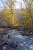 A rapid mountain stream with autumnal scenery - Rushing mountain stream