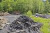 Camp of charcoal burners - Wood pile and some heaps of wood in a charcoal burner camp