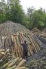 Charcoal pile - A man is building a charcoal pile