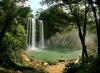 The Misol-Ha watrefall lies in the Northen part of Chiapas Province, Mexico, on the teritorry of Salto de Agua, Ejido San Miguel village. Size: 40 m heigh, 10 m wide. The water is falling in a basin of 40 m diameter and depth of 25 meters. - Misol-Ha watrefall, Chiapas, Yukatan, Mexico