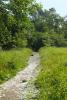 A hiking trail that leads into a forest - Hiking trail