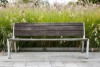 Bench seat in the park and green plants - Bench