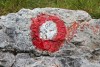 Red circle, one kind of tourist signal, fountain marked way - Tourist signal