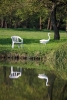 Great egret (Ardea alba) with a matching plastic chair - A great egret and a white chair