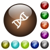 DNA molecule white icons on round color glass buttons - DNA molecule color glass buttons