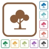 Leafy tree simple icons - Leafy tree simple icons in color rounded square frames on white background