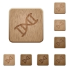 DNA molecule on rounded square carved wooden button styles - DNA molecule wooden buttons