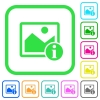 Image info vivid colored flat icons - Image info vivid colored flat icons in curved borders on white background