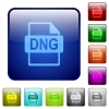 DNG file format icons in rounded square color glossy button set - DNG file format color square buttons