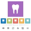 Single tooth flat white icons in square backgrounds. 6 bonus icons included. - Single tooth flat white icons in square backgrounds