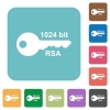 1024 bit rsa encryption white flat icons on color rounded square backgrounds - 1024 bit rsa encryption rounded square flat icons